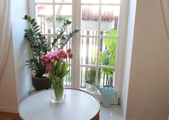 View In Apartament *