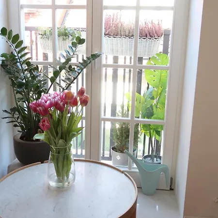 View In Apartment *